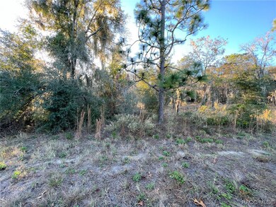 Lot View