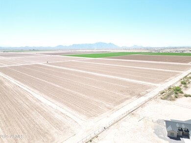 DJI_0877