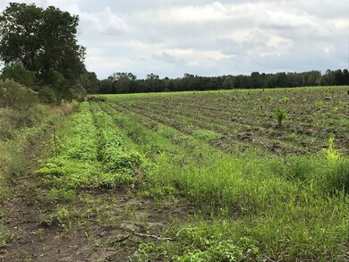 0 Fm 2977 unit 90030807, Fairchilds, TX 77469 - photo 5