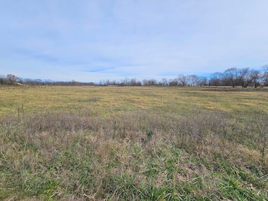 000-9 Ac Hobbs Rd, Anderson, MO 64831 - photo 2