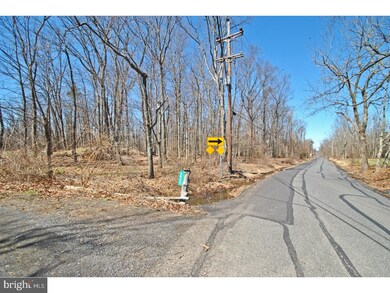 6044 Wismer Rd, Pipersville, PA 18947 - photo 6