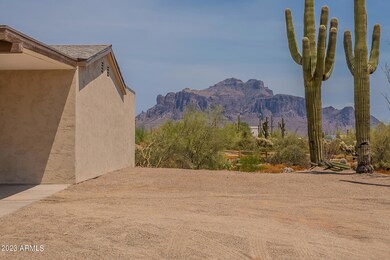Cactus-4