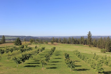 17323 N Lower Greenbluff Rd, Colbert, WA 99005 - photo 6