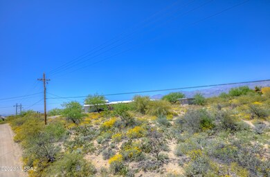 1001 S Melpomene Way, Tucson, AZ 85748 - photo 3