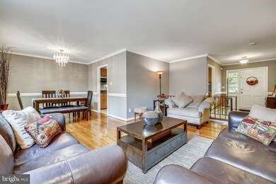 1317 Gresham Rd, Silver Spring, MD 20904 - photo 6