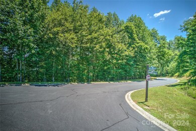 1018 Mills River Way, Horse Shoe, NC 28742 - photo 6