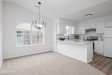 2912 Mulberry Ln unit F, Greenville, NC 27858 - photo 7