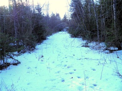 Maine Land for Sale in Island Falls,...
