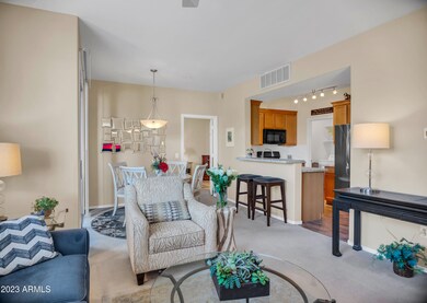 Family room and kitchen