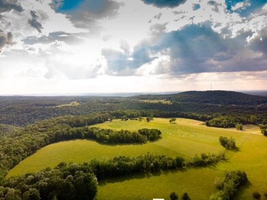 113.79Ac Falling Water Rd, Cookeville, TN 38506 - photo 4