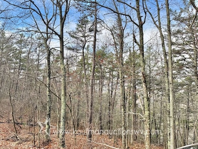 43 Highland Dr, White Sulphur Springs, WV 24986 - photo 5