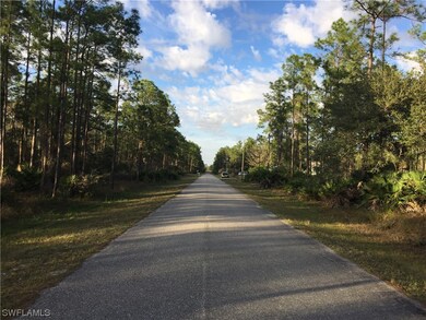 2211 Canton Ave, Alva, FL 33920 - photo 2