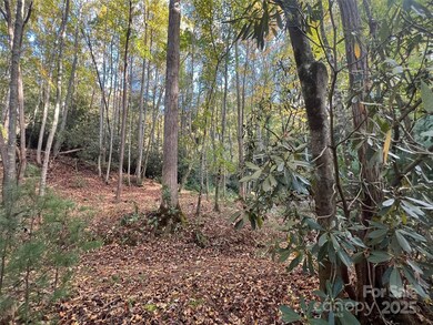 6 Dividing Ridge Trail unit 1, Arden, NC 28704 - photo 5