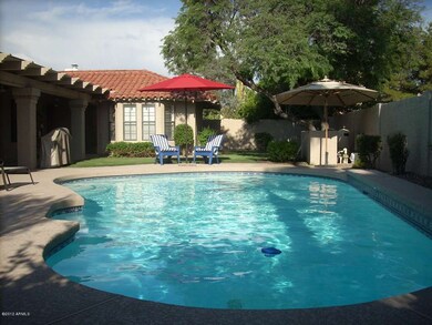 Back yard