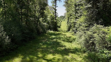 0 Zoar Rd unit 24669433, Chatham, LA 71226 - photo 6