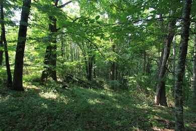 108 Point Lookout Ln, Independence, VA 24348 - photo 4