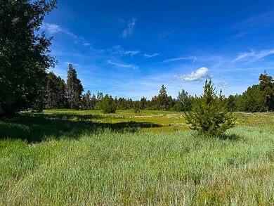 249 W Jug Rd unit 32, McCall, ID 83638 - photo 6