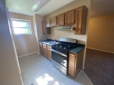 106 N Talbot St, Addison, MI 49220 - photo 4