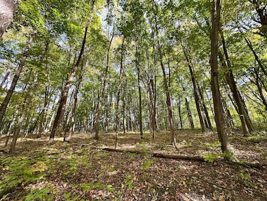 2443 140th St, Galesburg, IL 61401 - photo 6