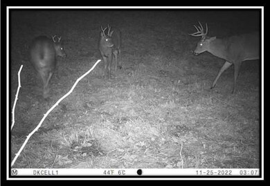 0 Maysville-Williams Rd unit (Tract 4) 223003995, Logan, OH 43138 - photo 5