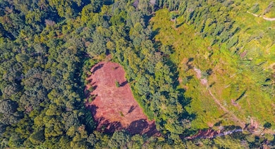 206 Waughs Landing Dr, Lynchburg, VA 24503 - photo 7