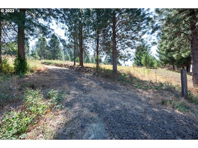 1251 SW Thornton Dr, Whitesalmon, WA 98672 - photo 7