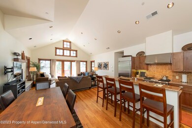 507 W Main St unit C201, Aspen, CO 81611 - photo 2