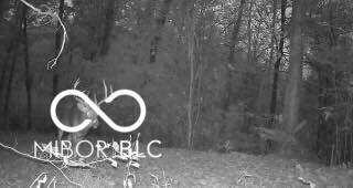 0 Highway 60 unit MBR22070478, Borden, IN 47106 - photo 5