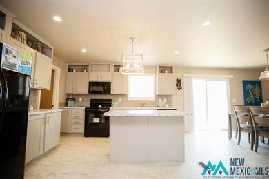 4214 Magnolia St, Carlsbad, NM 88220 - photo 4