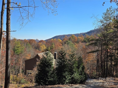 295 S Feather Falls Trail unit 50, Black Mountain, NC 28711 - photo 6