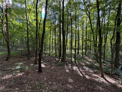 1310 Connecticut Woods Dr, Hudson, OH 44236 - photo 7