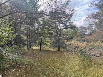 0 Maple City Hwy unit B, Lake Ann, MI 49650 - photo 4