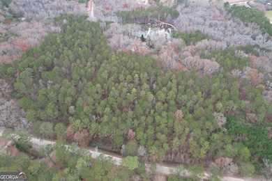 TRACT 3 Grady Maddox Rd, Zebulon, GA 30295 - photo 2