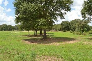 31227 Choctaw Hills Dr, Franklinton, LA 70438 - photo 2