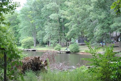 480 Lacebark Dr, Macon, GA 31220 - photo 3