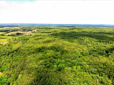 DJI_0327