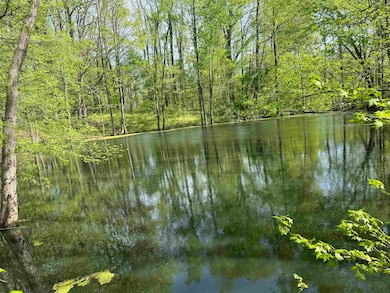 Water view featuring a heavily wooded area