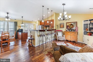 2 Cutleaf Ct, Newark, DE 19702 - photo 6