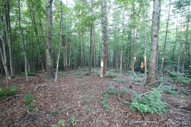 TBD Poplar Bluff Dr unit 41, Lenoir, NC 28645 - photo 7