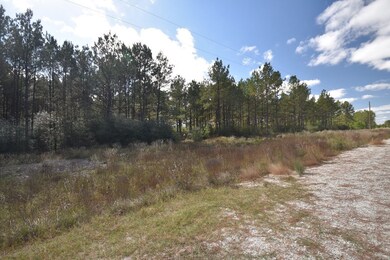 0 Bo Brown Rd unit 8177366, Trinity, TX 75862 - photo 7