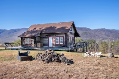 800 Runnett Bag Rd, Ferrum, VA 24088 - photo 4