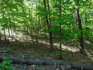 2 Crepeault Hill Rd unit 2, Saint Johnsbury, VT 05819 - photo 6