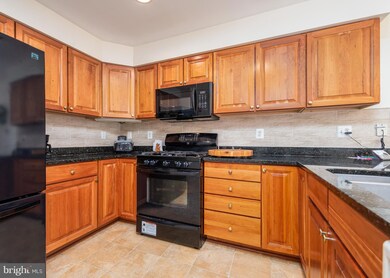 12021 Tralee Rd unit 302, Lutherville Timonium, MD 21093 - photo 5