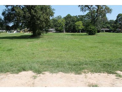 Yard/Garden.