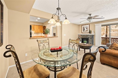 1890 Argentine St unit 303, Georgetown, CO 80444 - photo 3