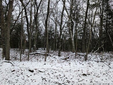 0 W Bass Lake Dr, Bitely, MI 49309 - photo 3