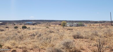 tbd E 2nd St unit 15, Concho, AZ 85924 - photo 7