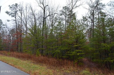 Shelby Way-Lot #20 PIC6