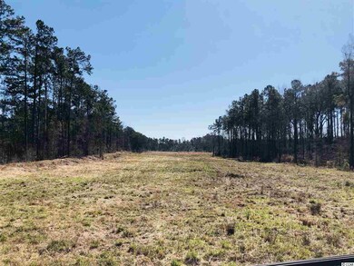TBD Jt Barfield Rd unit 13.7 acres, Conway, SC 29527 - photo 7