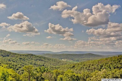 263 Waverly Hills Rd, Grant, AL 35747 - photo 6